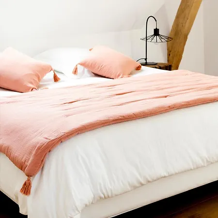 아파트 La Ferme 1802 *